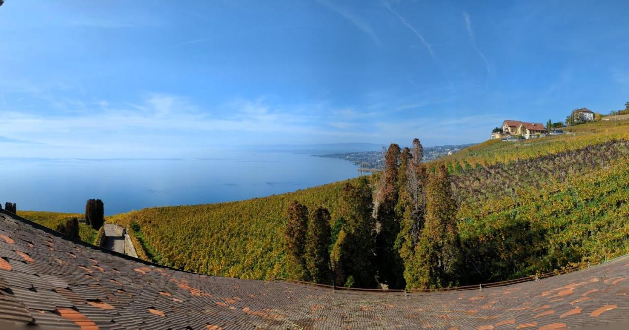 Domaine De La Crausaz Гранво Экстерьер фото